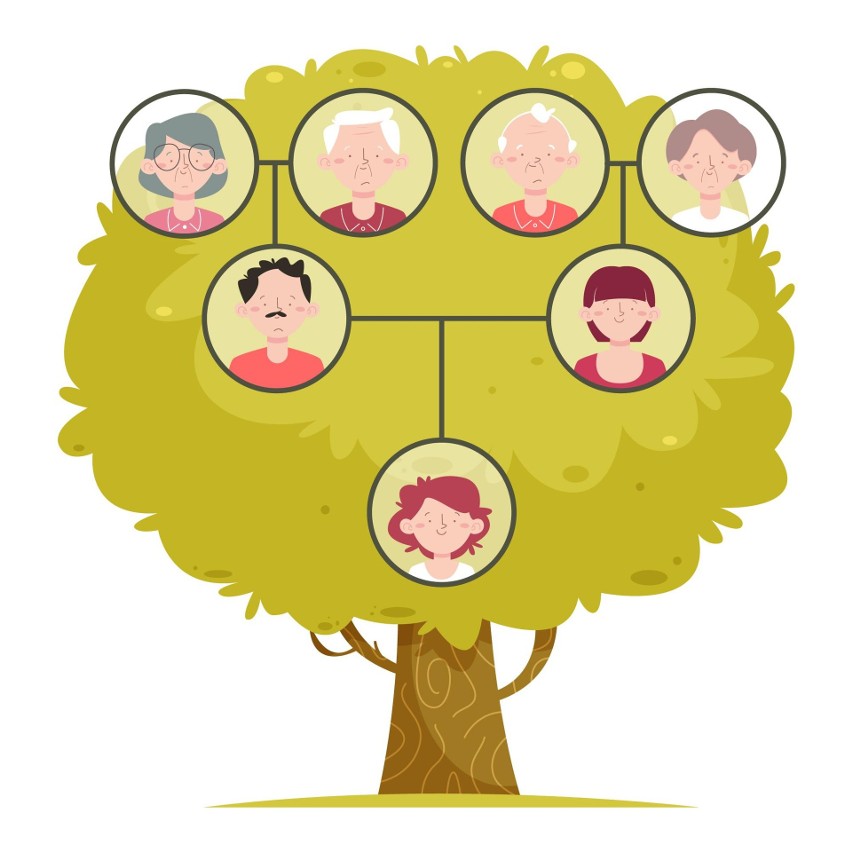 Najstarsi członkowie rodziny w drzewie genealogicznym mogą...