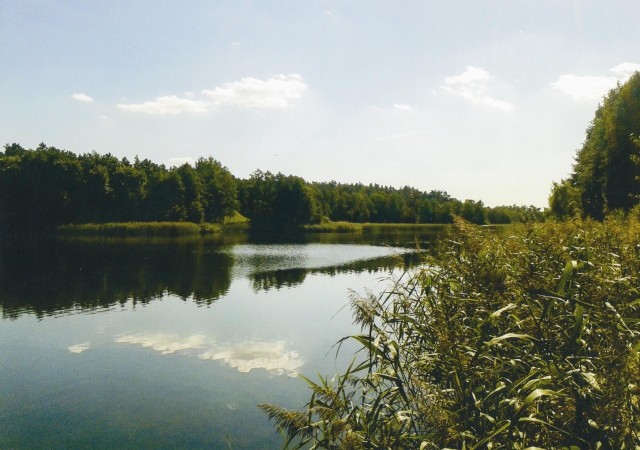 Jedno ze zdjęć nagrodzonych w poprzedniej edycji. Autorką jest Monika Majchrowska