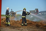 Duży pożar w powiecie sępoleńskim. Z ogniem walczyło 10 zastępów straży pożarnej [zdjęcia]