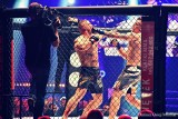 Gala Strife MMA w Radomiu. Porażki lokalnych zawodników. Wygrana Cezarego Kęsika. Piękny gest Michała Pacha. Zobacz zdjęcia