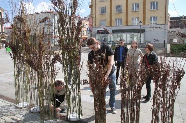 W niedzielę na Placu Artystów w Kielcach wyrósł artystyczny las z wikliny.