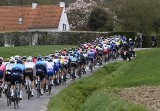 Kolarstwo. Dziś wyścig Ronde Van Vlaanderen. Polacy na starcie! Transmisja w TV i internecie