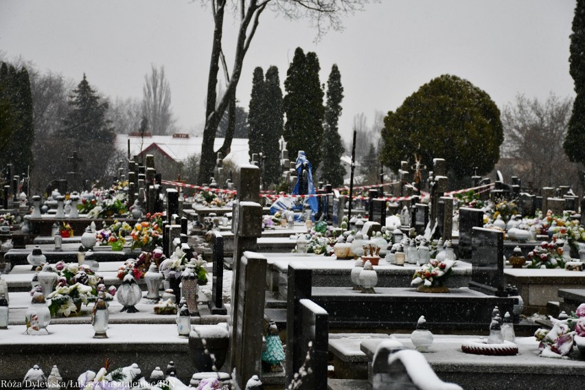 Na cmentarzu przy Unickiej odnaleziono kolejne szczątki więźniów lubelskiego Zamku