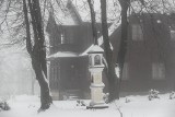 Piękna zima w rezerwacie Prządki między miejscowościami Korczyna i Czarnorzeki w gminie Korczyna [ZDJĘCIA]                 