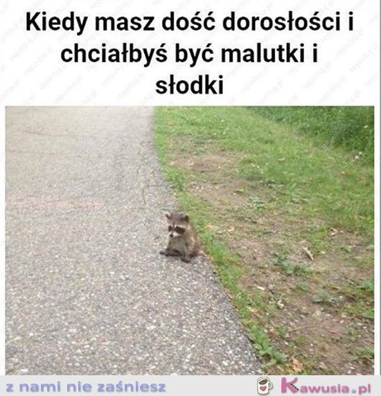 Ty też jako dziecko marzyłeś, by być dorosłym, a potem srogo...