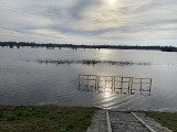 Wysoki stan wód we Wrocławiu. Poziom rzeki przekracza stany alarmowe o ponad pół metra. Podobnie w innych miejscach na Dolnym Śląsku