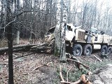 Kolejny wypadek wojsk amerykańskich. Ciężarówka uderzyła w drzewo. Tym razem w Wielkopolsce