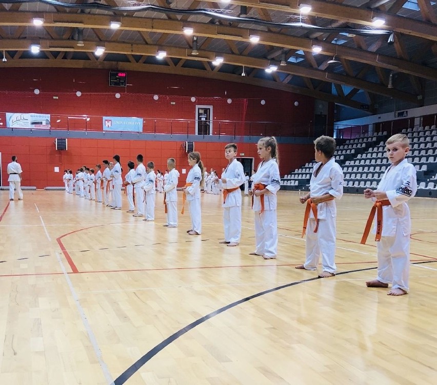 100 młodych uczniów zdawało egzaminy karate w Chęcinach. Nie było lekko [ZDJĘCIA]