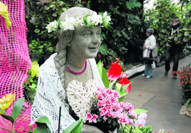 W sosnowieckim Egzotarium można oglądać różne wystawy, np. coroczną Wystawę Orchidei. Niestety, z bliska szklany pawilon, nawet  wypełniony pięknymi roślinami, nie wygląda dobrze