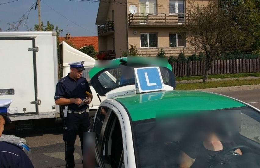 Akcja Elka. Instruktorzy nauki jazdy zatrzymani przez policję (zdjęcia)
