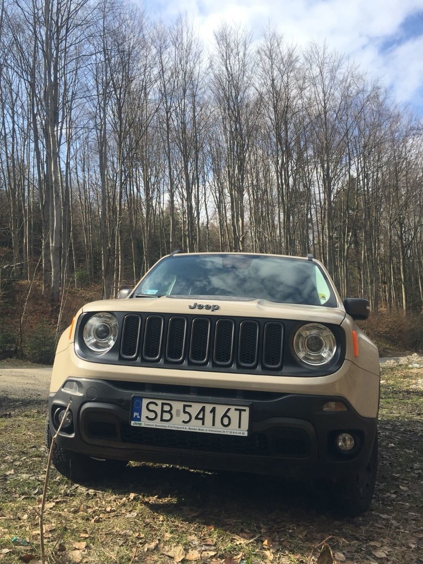 Jeep Renegade...