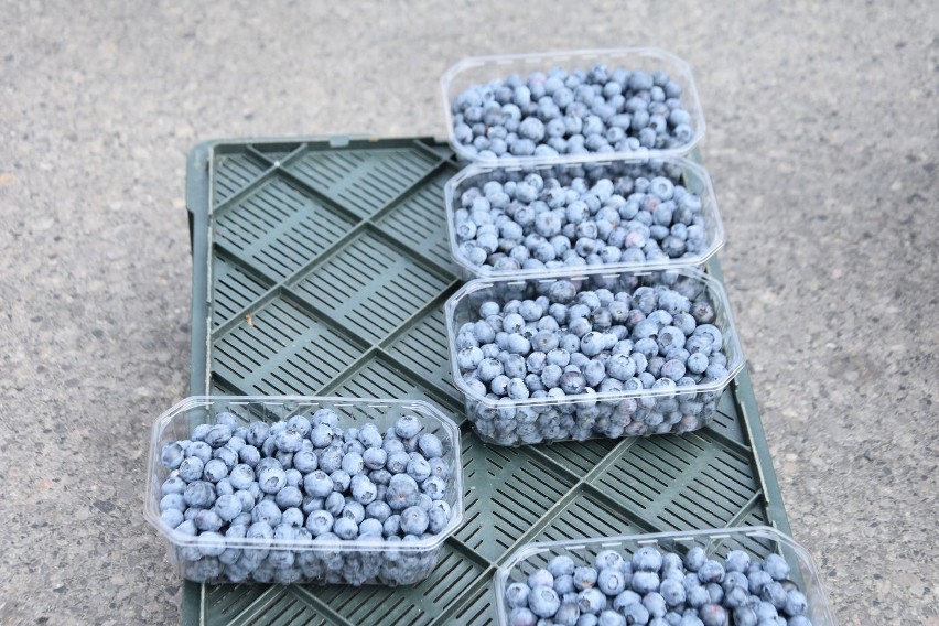Ceny warzyw i owoców na giełdzie w Sandomierzu w sobotę 2 lipca. Pośród czereśni i truskawek pojawiają się jagody. Zobacz jakie są ceny!
