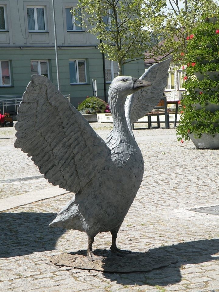 Gęsi już w Białobrzegach. Na placu Zygmunta Starego stanęły figury. Miasto będzie miało nowy symbol?