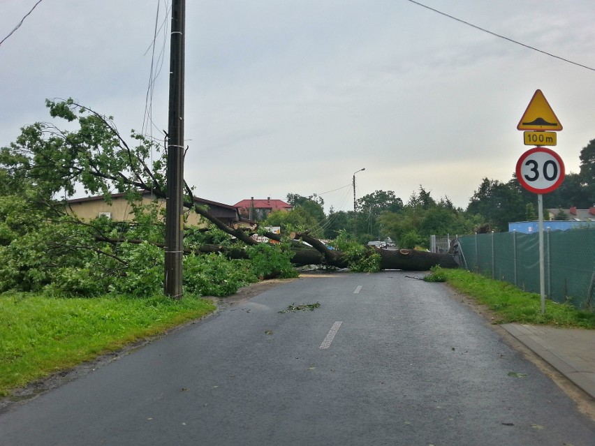 Burza w Łodzi. Nawałnica nad Łodzią. Powalone drzewa, gałęzie na drogach, zalane ulice [ZDJĘCIA]