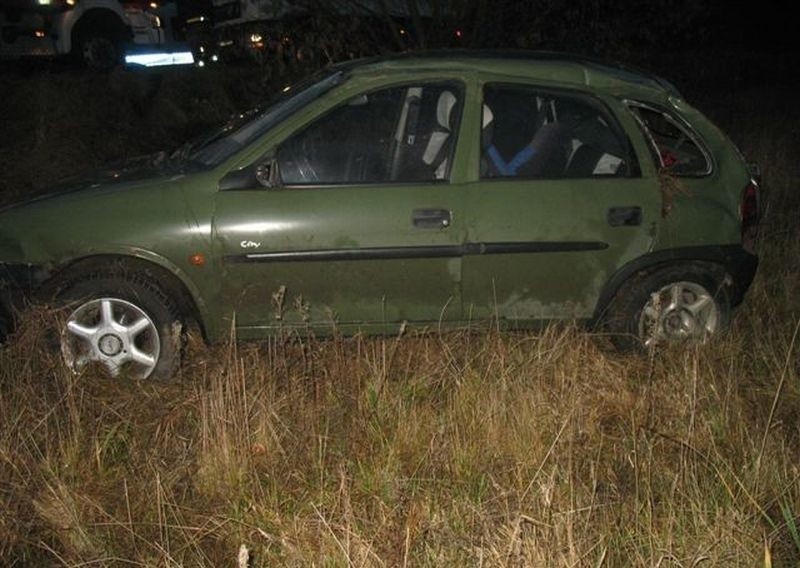 Tartak: Sarna zderzyła się z autem. Opel dachował