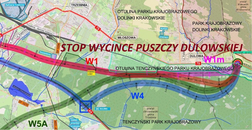Plany budowy obwodnicy Trzebini. Ludzie protestują przeciwko wycince Puszczy Dulowskiej. Którędy będzie biec droga? 