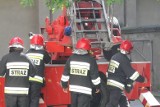 Pożar na Politechnice Wrocławskiej. Interweniowało 7 zastępów strażaków
