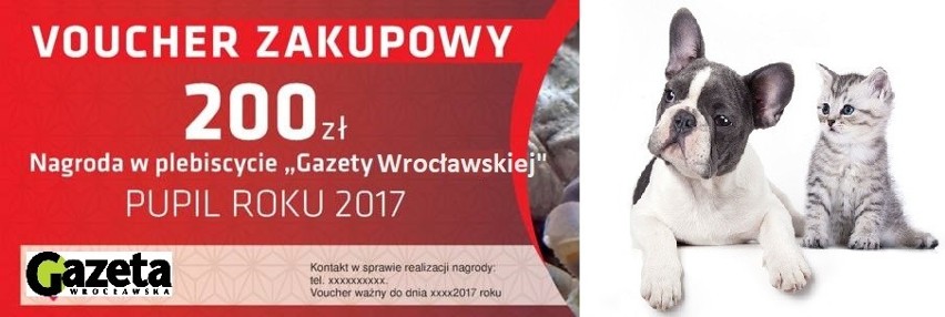 Pupil Roku 2017| ZOBACZ, KTO ZDOBYŁ TYTUŁ PUPILA ROKU 2017!