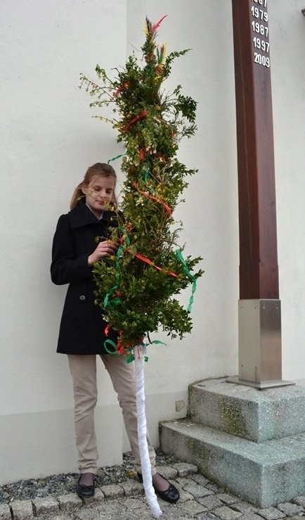 Niedziela Palmowa: Konkurs palm w Zabrzegu. Dwumetrowe palmy [ZDJĘCIA]