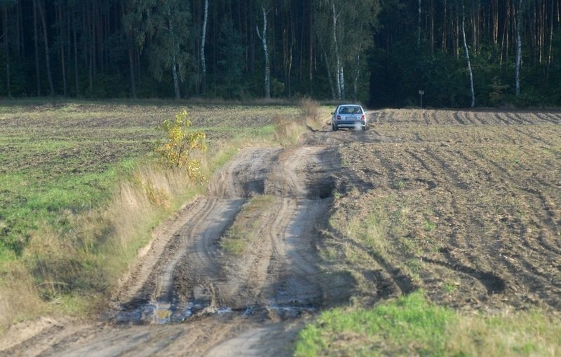 Zwłoki policjanta w lesie w Grzecznej Pannie [szczegóły zdarzenia]