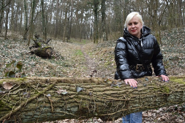 - My, mieszkańcy, sami tych drzew nie usuniemy - mówi Małgorzata Witkowska z ul. Warszawskiej, która często spaceruje po parku Czechówek.