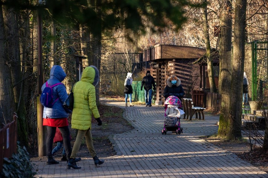 W świąteczną sobotę (26.12.2020) bydgoszczanie postanowili...