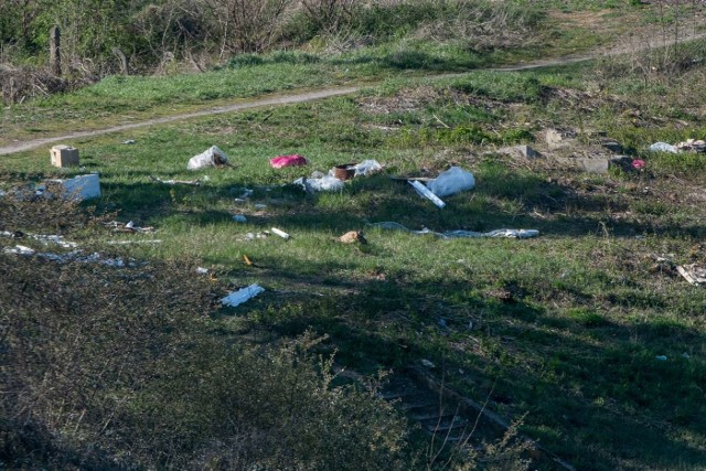 We wtorek, 16 kwietnia, pracownicy Międzynarodowych Targów Poznańskich zebrali się na nadbrzeżu Cybiny, by w związku ze zbliżającym się Światowym Dniem Ziemi wziąć udział we wspólnym sprzątaniu. Problem w tym, że kilka godzin wcześniej kilku mężczyzn w kombinezonach podrzuciło tam śmieci. Czy to była ustawiona akcja?