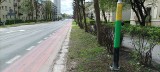 Kibice GKS Katowice pomalowali latarnie uliczne w klubowe barwy ZDJĘCIA Mieszkańcy komentują takie upiększenie krajobrazu