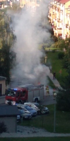 Pożar pojemnika z makulaturą w Tarnobrzegu. Słup dymu nad miastem (ZDJĘCIA)
