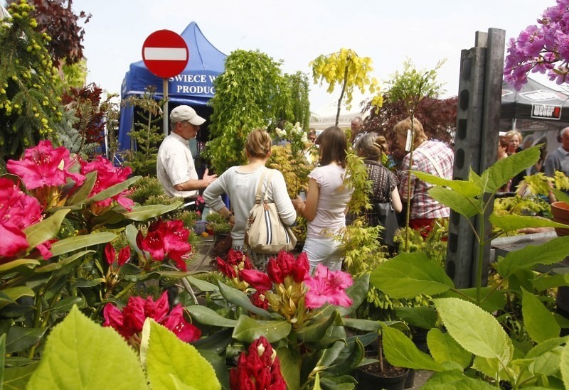 Wystawa florystyczna w Szczecinie