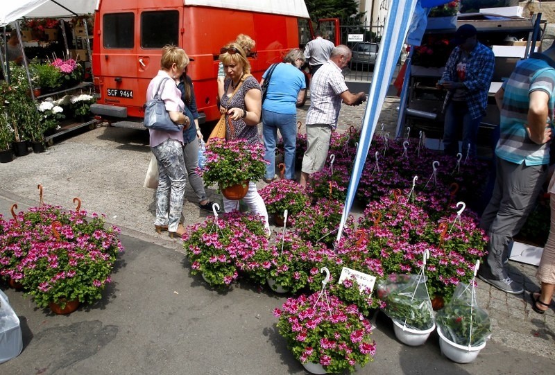 Wystawa florystyczna w Szczecinie