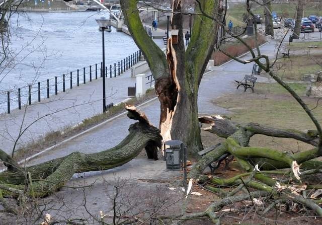 Wichura złamane drzewoWichura złamane drzewo na ul. Mostowej