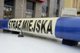 Kontrole maseczek w Kielcach. Pasażer autobusu miejskiego próbował uciec, bo nie miał maski. Odepchnął kontrolujących strażników miejskich