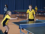 Szkolne mistrzostwa powiatu ostrowieckiego w tenisa stołowego (zdjęcia)