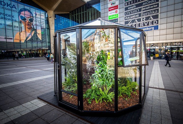 Przed Galerią Katowicką pojawił się śródziemnomorski las w słoiku. W ten oryginalny sposób centrum handlowe uczciło pierwszy dzień wiosny.