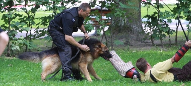 Policyjne psy są doskonale wyszkolone. Nikomu nie przepuszczą.