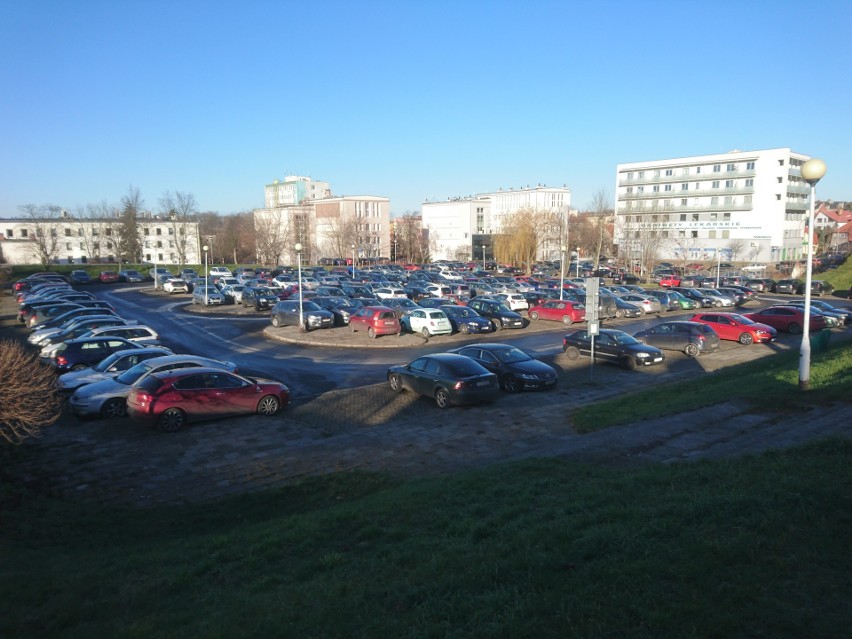Mieszkańcy zwracają uwagę, że parking przy Palmiarni jest w...