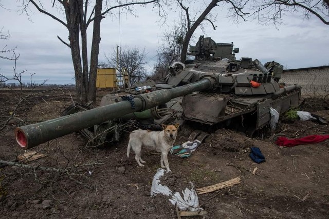 Jeden ze zniszczonych przez Ukraińców rosyjskich czołgów