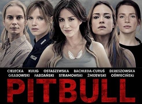 PITBULL 3. Niebezpieczne kobiety online. Cały film na CDA.PL, YOUTUBE, VOD  (premiera 11.11.2016) | Kurier Poranny