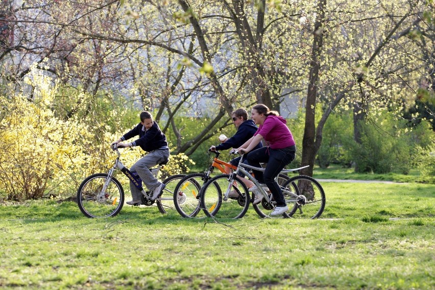 Gdzie jechać na rower? Warszawa i Mazowsze - trasy rowerowe dla początkujących i średniozaawansowanych