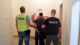 Brzózki. Rozbił kradzione auto podczas ucieczki przed policją [ZDJĘCIA]