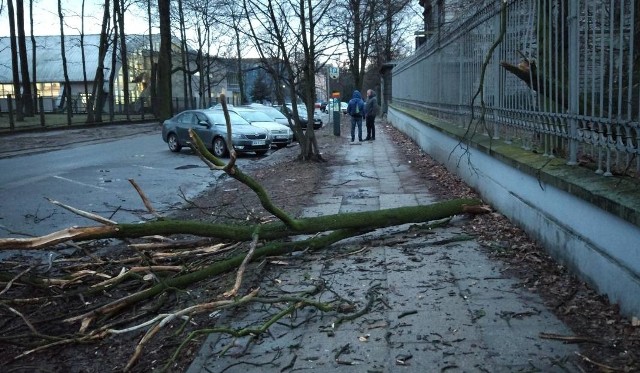 Pogoda na kwiecień to wizja nadchodzącego ciepła. Kapryśna końcówka marca, która pokazuje jeszcze zimowe oblicze, wkrótce odejdzie w zapomnienie