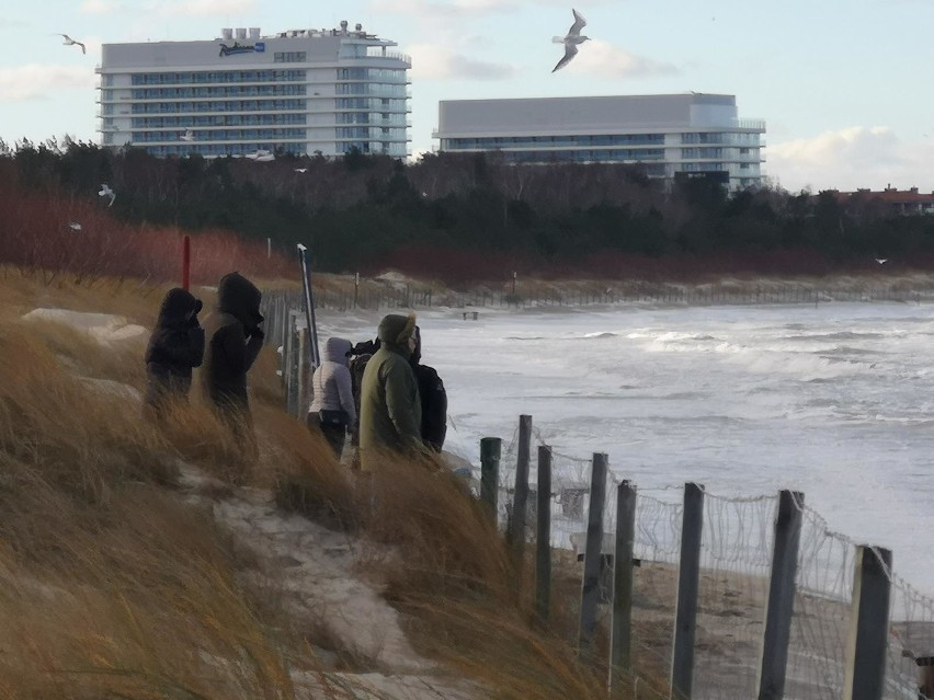 Sztorm w Świnoujściu. Bałtyk zatopił plażę oraz nabrzeża wysp. Takiej sytuacji nie było tu już dawno [ZDJĘCIA]