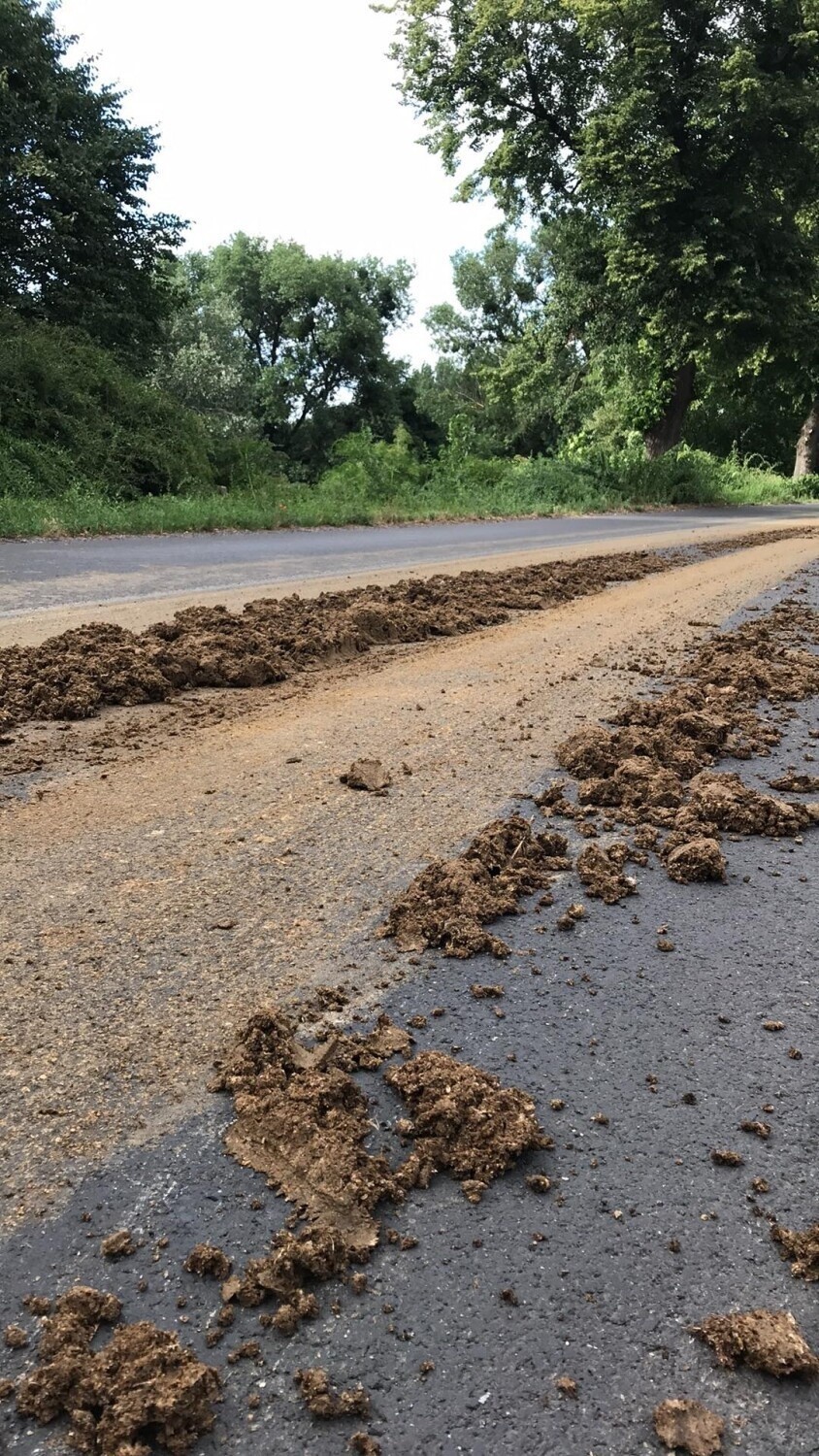 Jak nieoficjalnie się dowiedzieliśmy, podczas transportu na...