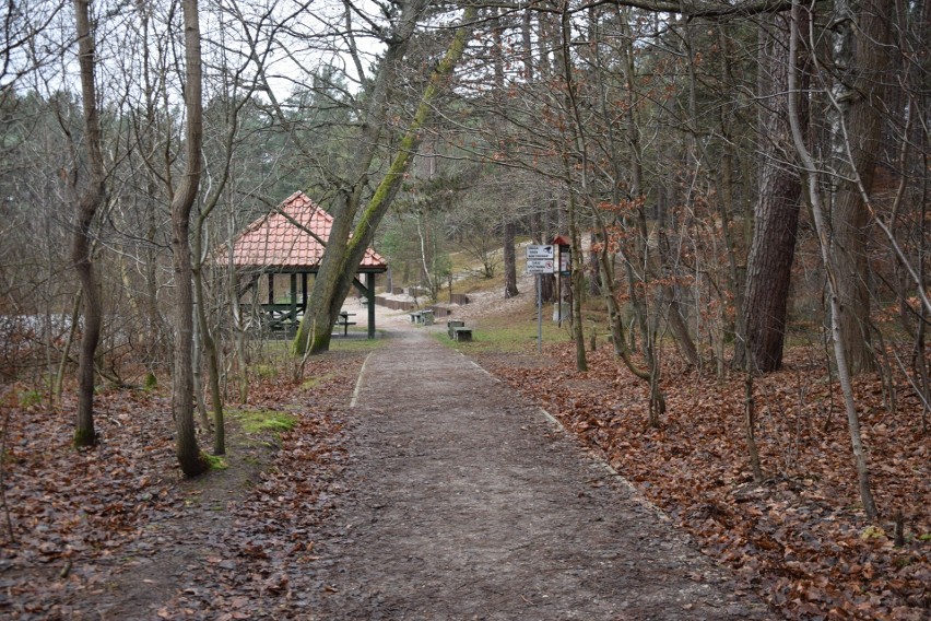 Stawek Upiorów to bagienny zbiornik wodny o powierzchni 32...