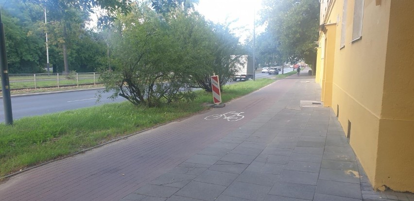 W Łodzi. Patent się sprawdził na ulicach i jest powielany  Pachołki ostrzegawcze już na ścieżkach rowerowych