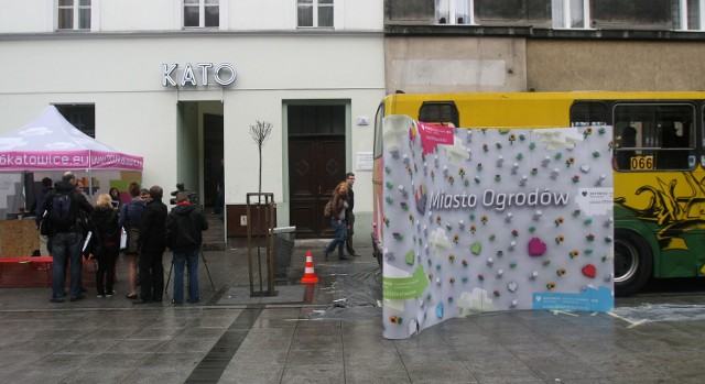 W przyszłym roku Sopot będzie mieć wkłąd w katowicki Street Art Festival
