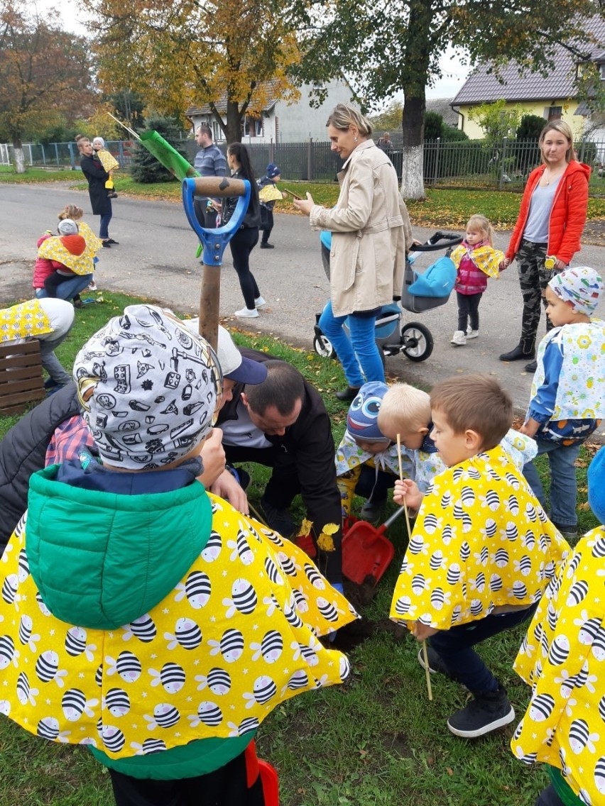 Krąpiel. Przedszkolaki posadziły miododajne drzewka 