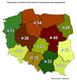 Fotoradary mogą być przyczyną zagrożeń na drogach?