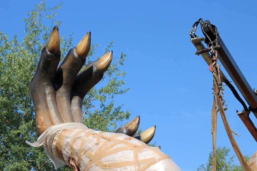 Siemianowice Śląskie: Dinozaury przybywają! Powstaje Dinopark